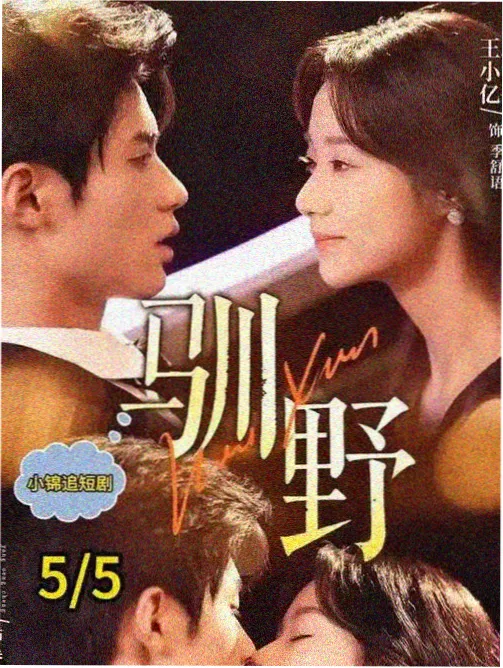 红果免剧电视剧《巷口烟火》封面