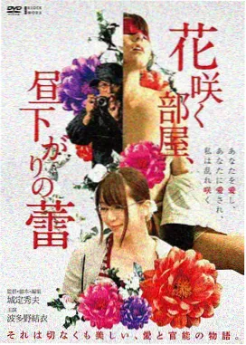红果免剧电影《铁皮鼓手》封面